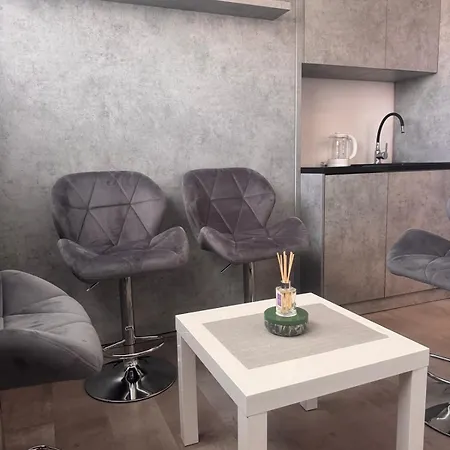 Amber Lux - Airport - Free Parking 公寓 塞拉耶佛