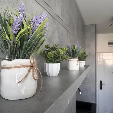 Amber Lux - Airport - Free Parking *