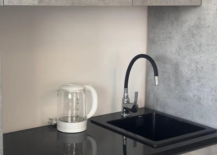 公寓 Amber Lux - Airport - Free Parking 塞拉耶佛