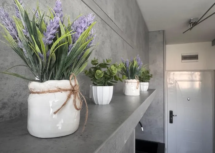 Amber Lux - Airport - Free Parking *