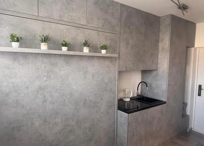 公寓 Amber Lux - Airport - Free Parking