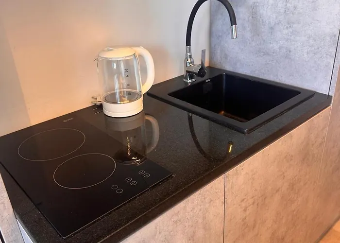 Amber Lux - Airport - Free Parking * 塞拉耶佛